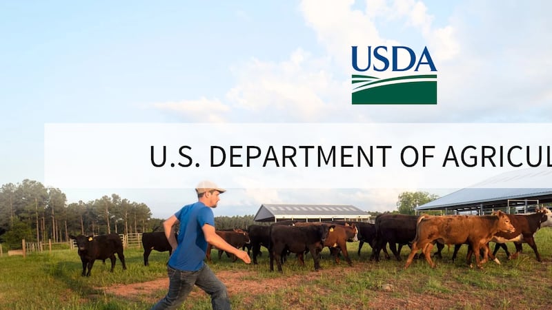 U.S. Department of Agriculture Logo