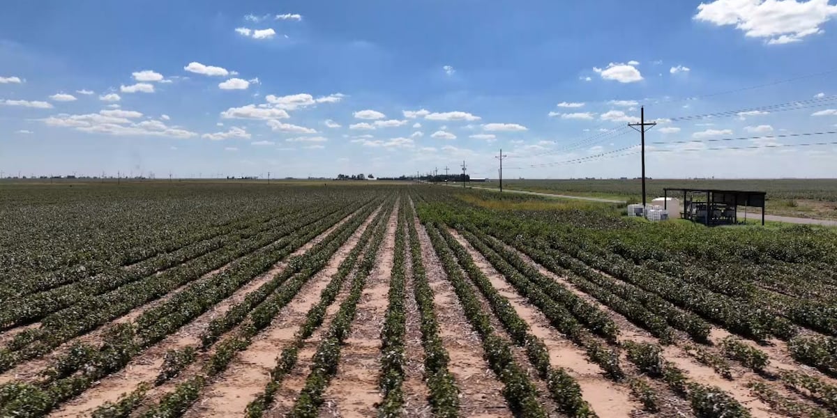 NASA collaborates with farmers on remote-sensing crop technology NASA collaborates with farmers on remote-sensing crop technology