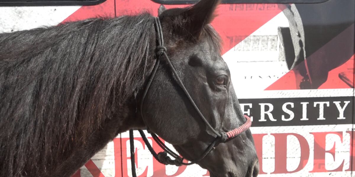 Fearless Champion’s final football run Saturday night, Masked Rider ...