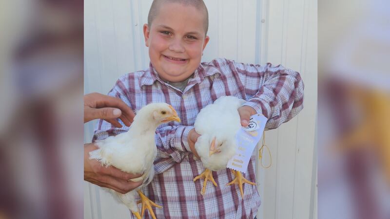 A 9-year-old boy in Wisconsin sold two chickens for $12,000 last week at the Rock County 4-H...