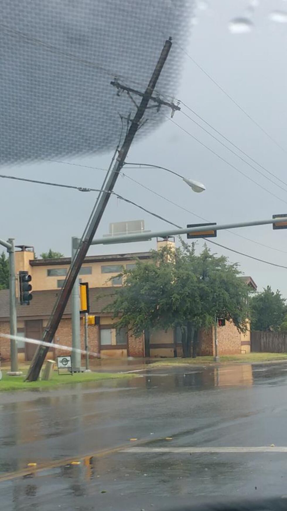 Light pole at 79th and Indiana (Source: Janet Luevano)