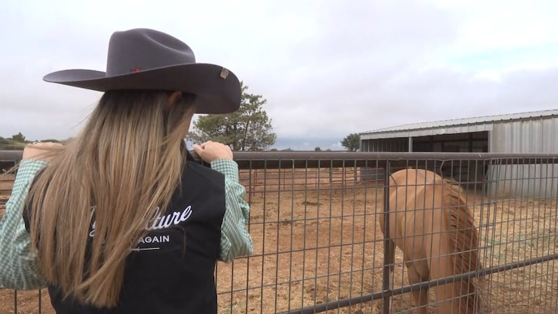 Venessa Wood is the founder of Ag Women Connect and the Ag Women Connect Foundation.
