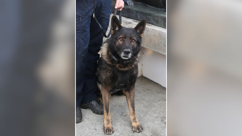 Police K-9 Kylo died after a shootout with a murder suspect.
