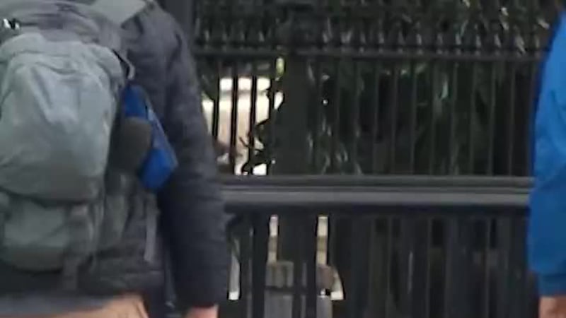 CNN was allowed back into the White House on Thursday at noon after a federal judge ordered...